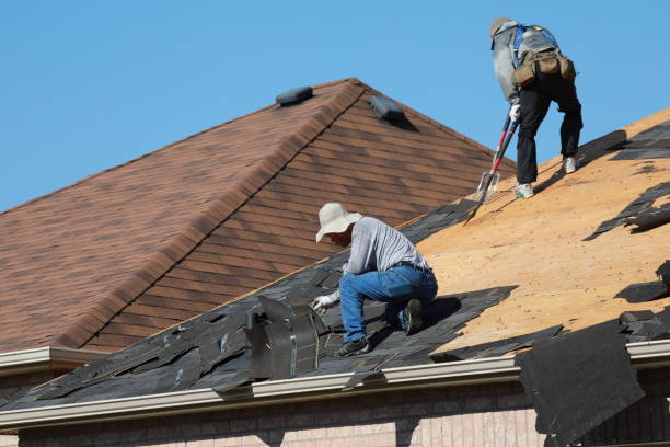 Best Roof Insulation Installation  in Fountain Green, UT