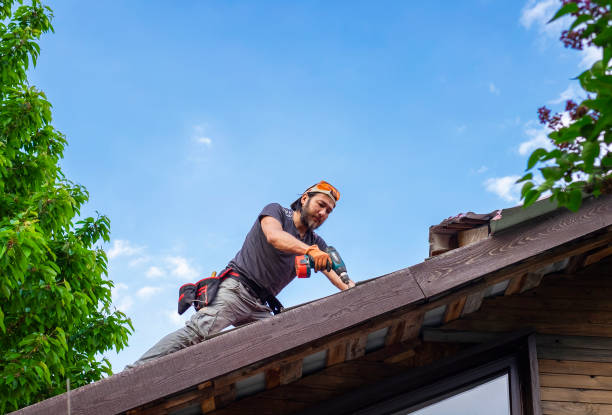 Best Roof Leak Repair  in Fountain Green, UT